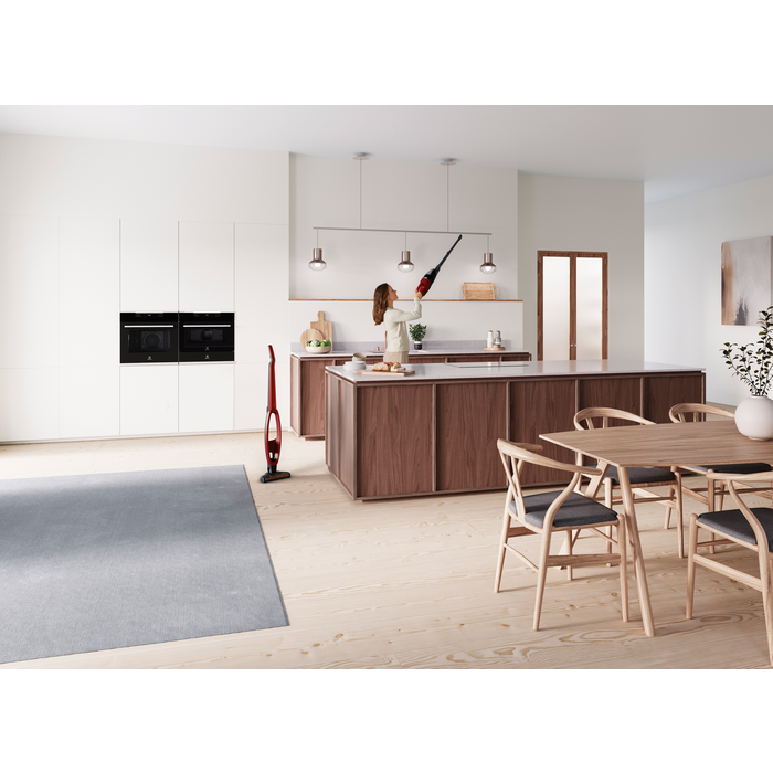 Electrolux - Balai sans fil - WQ61-ANIMA