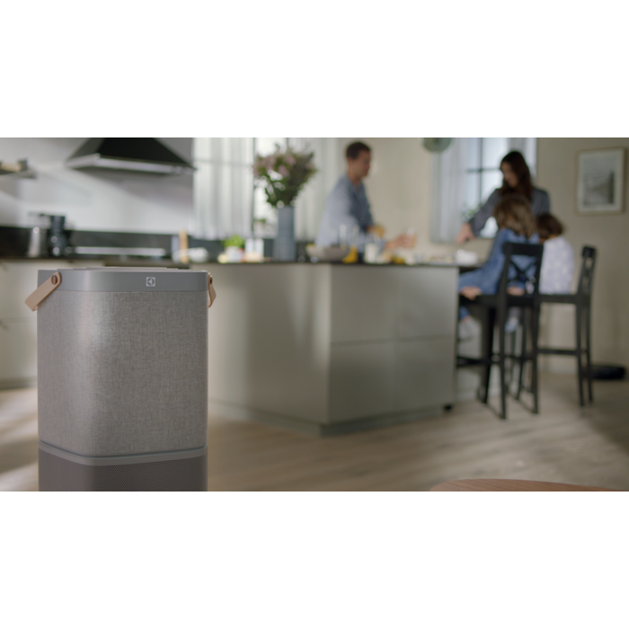 Electrolux - Filtres pour purificateurs d'air - EFDCAR4