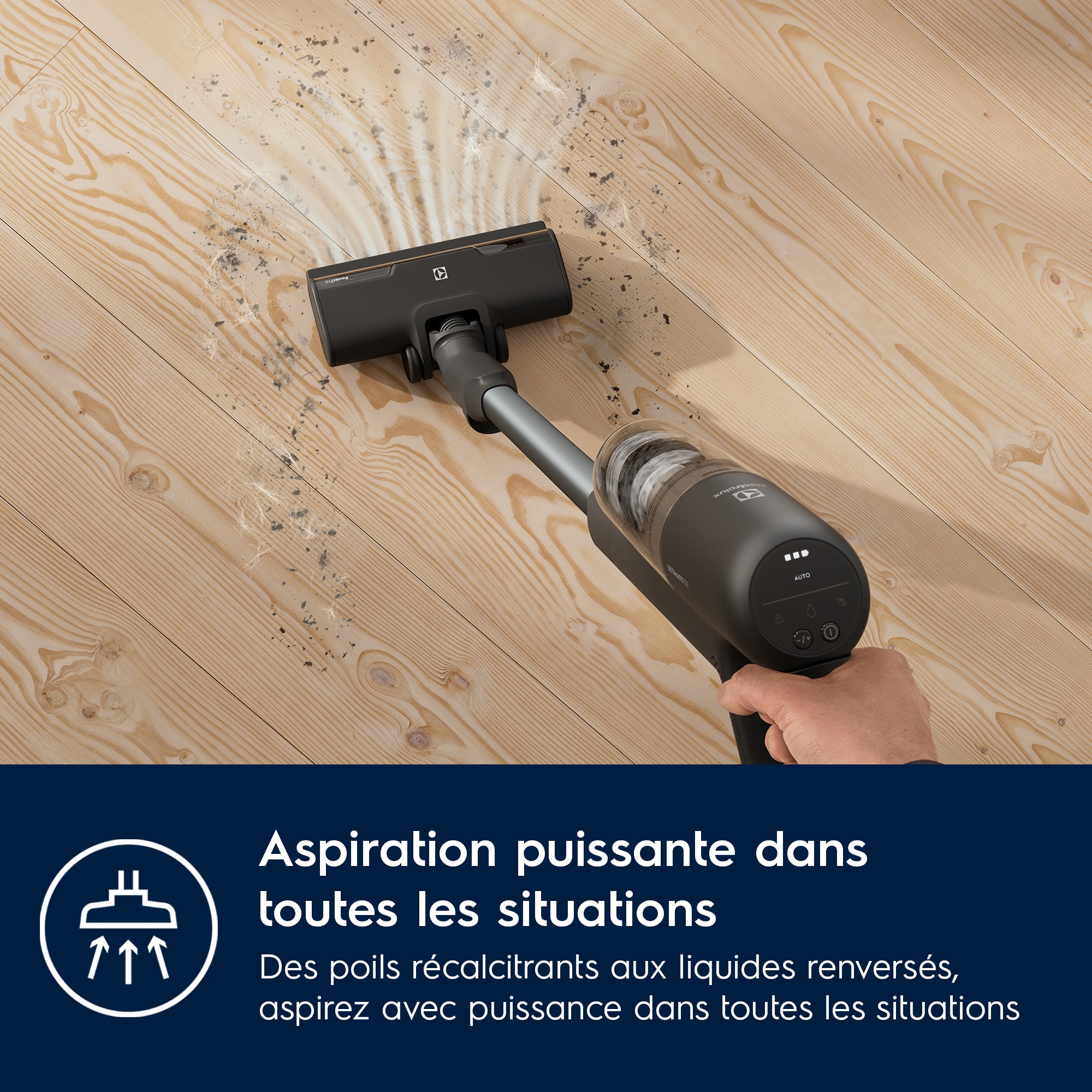 Electrolux - Balais avec fil - EP71B14WET