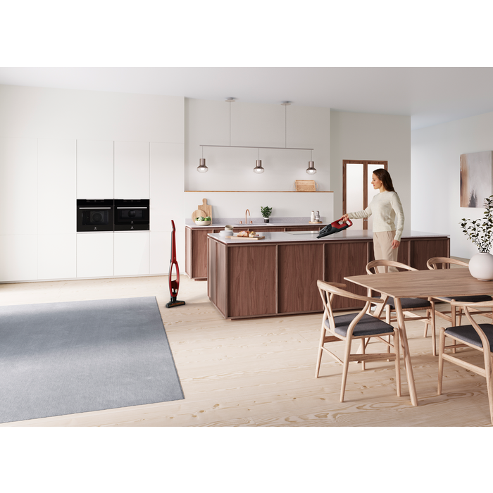 Electrolux - Balai sans fil - WQ61-ANIMA