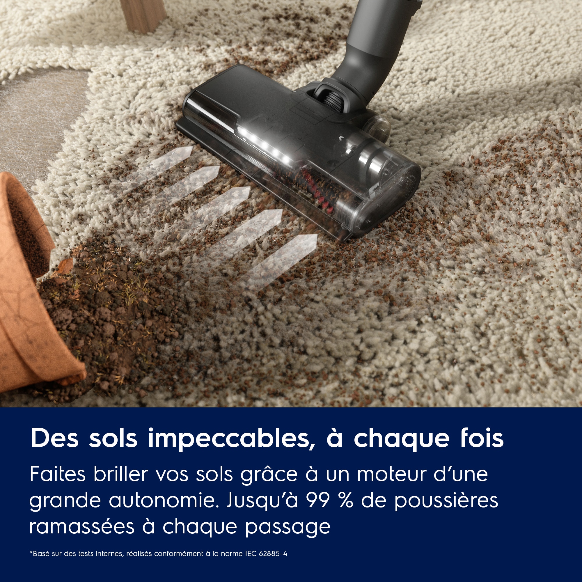 Electrolux - Balais avec fil - EP61CB21WG