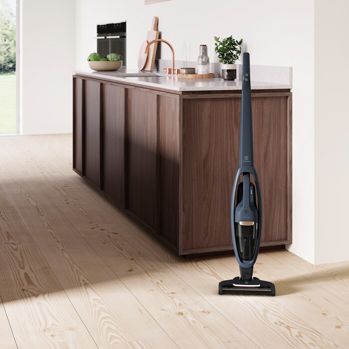 Electrolux - Balai sans fil - WQ61-46DB