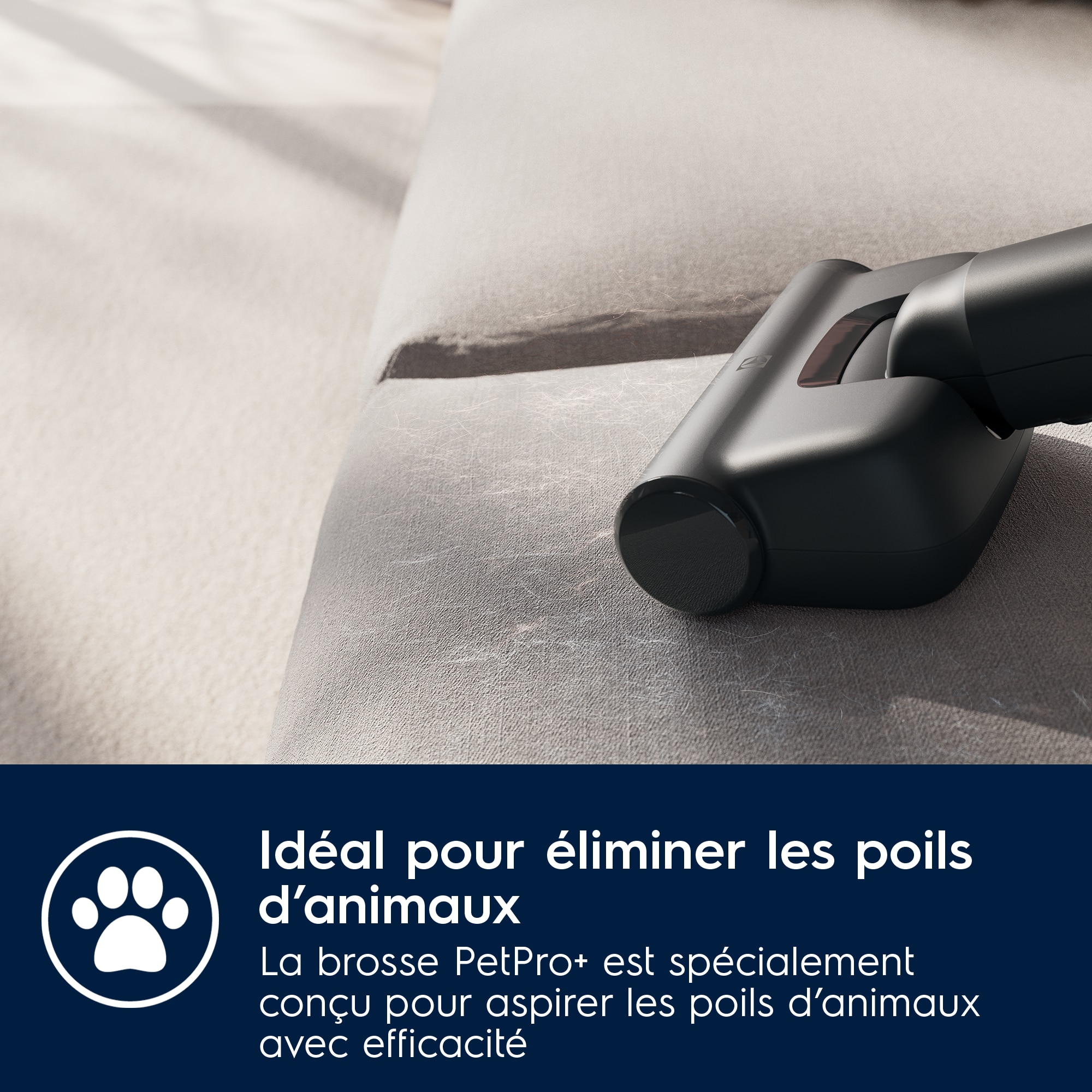 Electrolux - Balais avec fil - EP71AB14UG