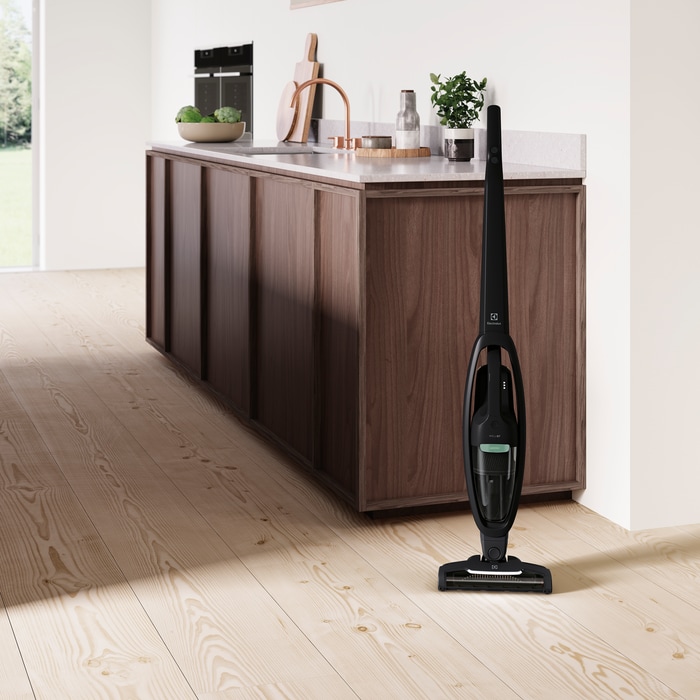 Electrolux - Balai sans fil - WQ71-GREEN