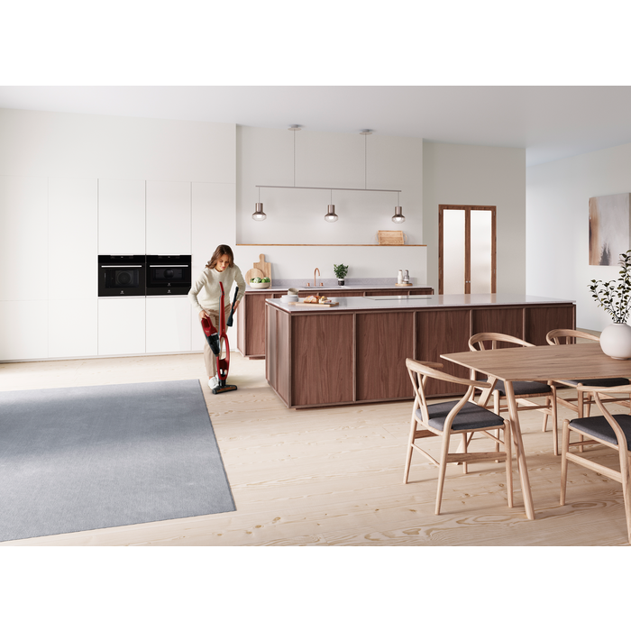 Electrolux - Balai sans fil - WQ61-ANIMA