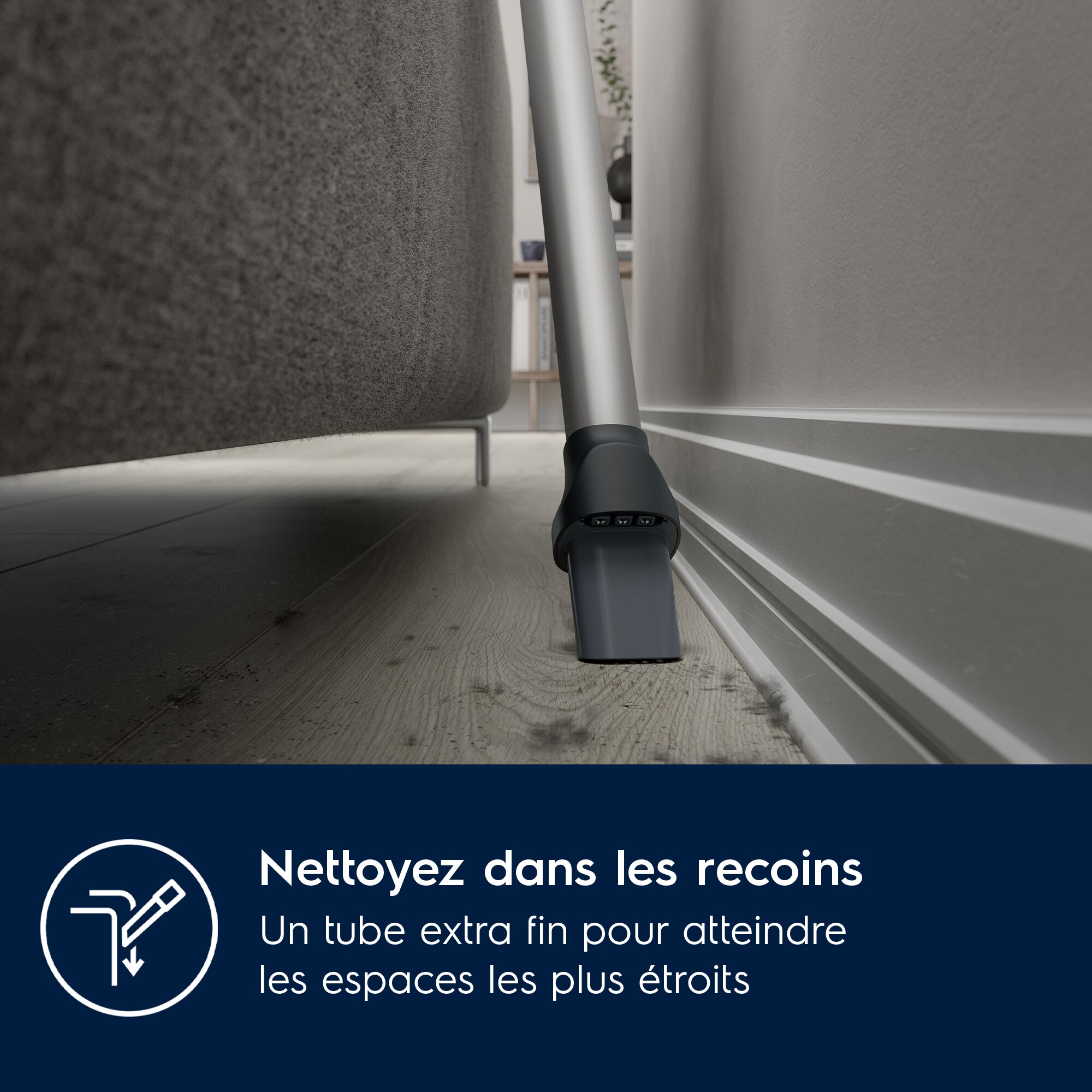 Electrolux - Balais avec fil - EP71UB14DB