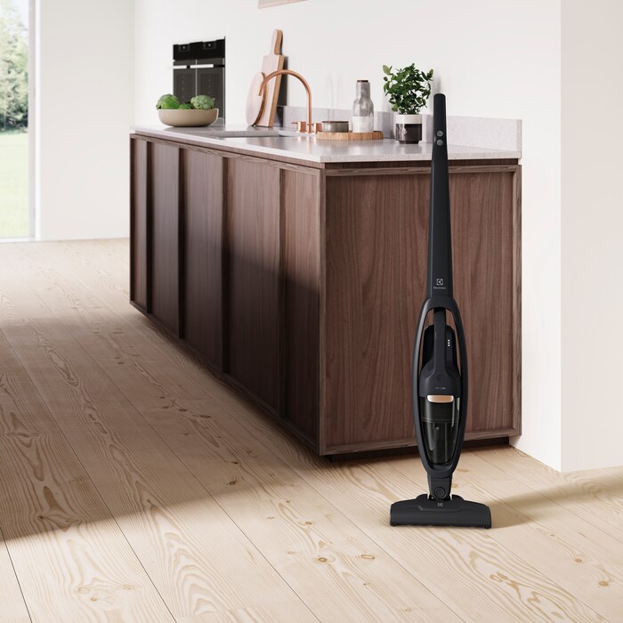 Electrolux - Balai sans fil - WQ61-42GG